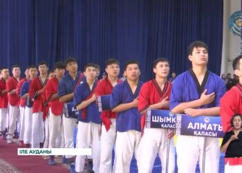 Белбеу күрестен Қазақстан Республикасының ресми чемпионаты ту көтерді