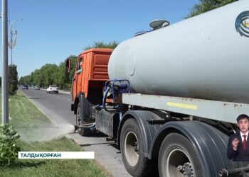 Облыс орталығындағы жасыл желек пен гүлдерді жайқалту жұмыстары қарқынды
