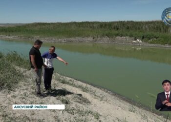 Ситуация на озере Ушколь в Аксуском районе, требующая немедленного вмешательства