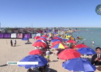 Требуем снижения стоимости за въезд на территорию пляжа