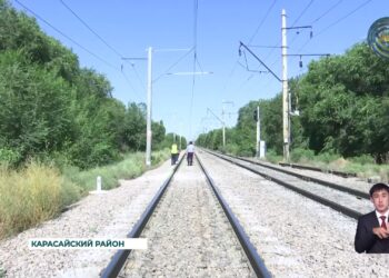 В Алматинской области за шесть месяцев 2024 года под колесами рельсового транспорта погибло три человека