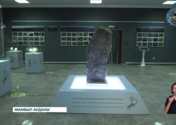 Түркі елдері халықтарының бірегейлігінің көрінісі