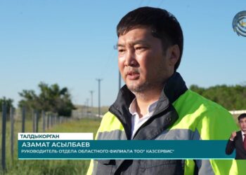 Проблема безнадзорного скота на дорогах представляет собой значительный риск