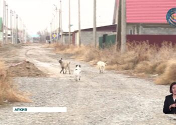 В город Текели было привлечено порядка одного миллиарда семидесяти семи миллионов тенге