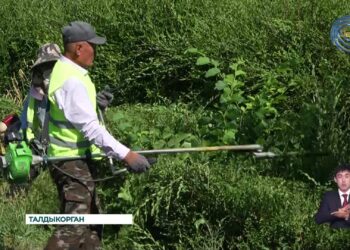 Отечественные синоптики прогнозируют во многих регионах страны сорокаградусную жару