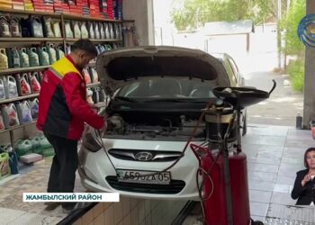 На реализацию программы повышения доходов сельчан было направлено 8,2 млрд тенге