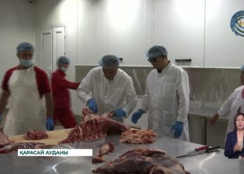 2 жылғы үзілістен кейін отандық сиыр етінің алғашқы партиясы Қытайға экспортталды