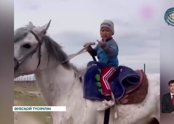 Тілі толық шықпаса да, тізгін ұстаған бала
