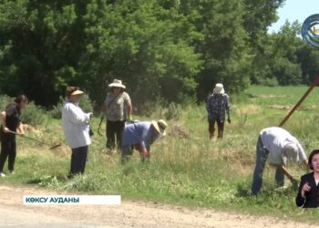 «Таза бейсенбі» акциясы Жетісуда жүйелі жүріп жатыр