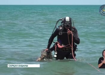 Балқаш көлінен 367 келі қоқыс шығарылды