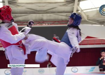 В Талдыкоргане прошел Открытый республиканский турнир по таэквондо среди юношей