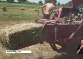 Мал қыстату кезеңіне 2 млн 200 мың тоннадан аса жем-шөп әзірлеу жоспарланған