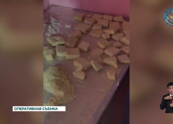 Приговорил двух наркоторговцев к 10-ти годам лишению свободы