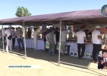 На отечественном рынке по защите сельхозкультур свои позиции «Август-Казахстан» держит уже 17 лет