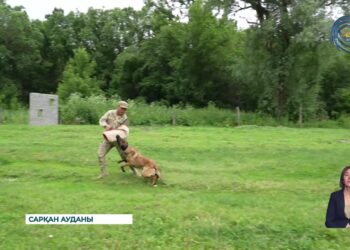 Былтыр «Сарқан» шекара бөлімшесінің аумағында 5 Қытай азаматы жүру талаптарын бұзған