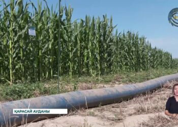 Су тапшылығы мәселесін шешудің жолы табылды