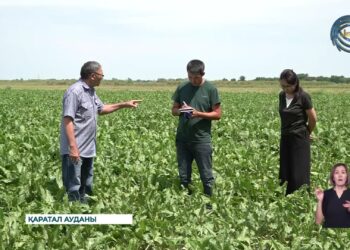 Қаратал ауданының Жаңаталап ауылында екі бірдей нысан салынып жатыр