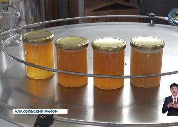 Село Лепсы приобрело мировую известность благодаря своему уникальному производству мёда