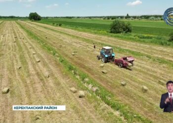 В области Жетысу одним из наиболее динамично развивающихся регионов является Кербулакский район
