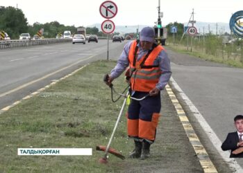 «QAJ Сервис» мекемесінің қызметкерлері жол жиектерін абаттандыруда