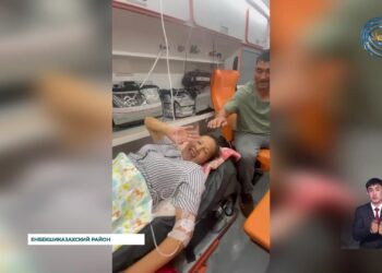 В Енбекшиказахском районе бригада фельдшерской скорой помощи успешно приняла роды