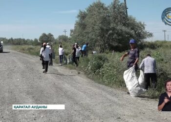 Қаратал ауданында 8 мыңнан астам адам тазалық жұмыстарына қатысты