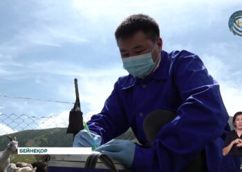 Ветеринария саласындағы оң өзгерістер