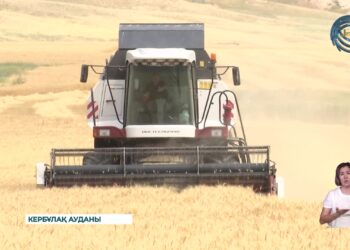 Астығы мол аудан