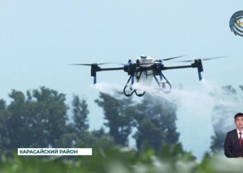 В Алматинской области прошел «День поля»