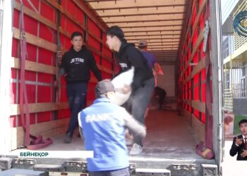 Қиын сәтте кеуде керіп алға шығып көмек қолын созған волонтер жастар марапатталды