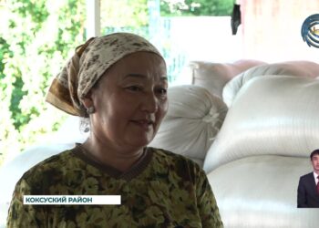 В Коксуском районе в селе Муканшы проживает предприимчивая семейная пара Женисбековых