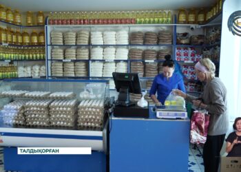 Әлеуметтік маңызы бар тауарлар бағасын тұрақтандыру