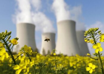 Қазақстанда атом электр станциясын салу энергетика саласын дамытады