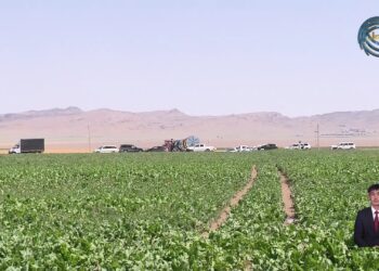 Аграрный сектор нашего региона продолжает демонстрировать устойчивый рост и развитие