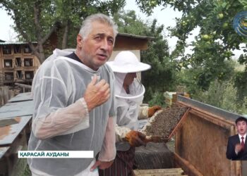 Қарасай ауданында омарта шаруашылығы қарқын алды