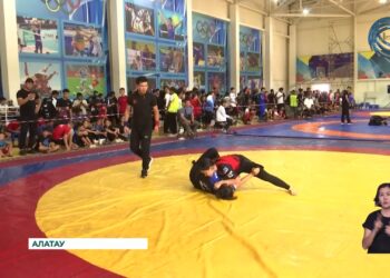 Алатау қаласында грэпплингтен ел біріншілігі өтті