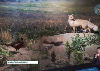 Ресейлік жас ақын Соня Шаталова, музей атаулыға осындай баға беріпті