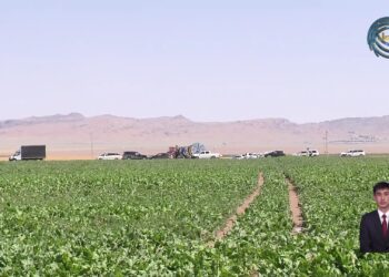 Жетісулық шаруалар тамшылатып суғару әдісімен қызылша өсіруді қолға алды