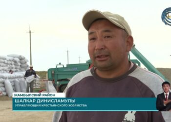 В Алматинской области полным ходом идет кампания по сбору осеннего урожая