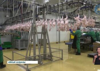 Предприятие обеспечивает стабильной работой более пятисот с половиной человек