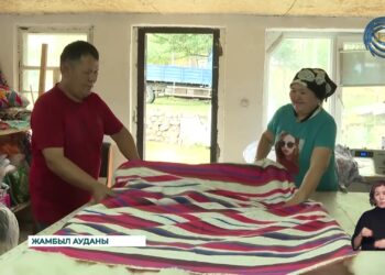 Алматы облысында «Ауыл аманаты» бағдарламасы шеңберінде мыңнан аса жоба жүзеге асты