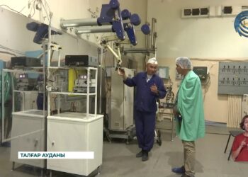 Ядролық физика иниституты – атом электр станциясының шағын макеті