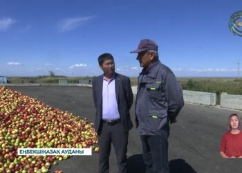 Алма шырыны мен томат пастасын өндіреді