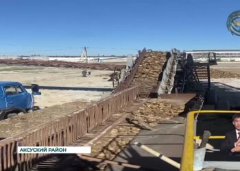 В области Жетісу Аксуский и Коксуский сахарные заводы начали прием урожая сахарной свеклы