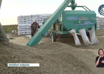 Алматы облысында күзгі жиын-терін науқаны қызу жүріп жатыр