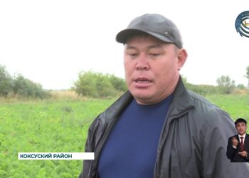 Свыше 22 тысяч тонн сельскохозяйственной продукции заготовлено в области Жетысу