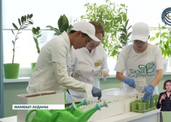 Таза Қазақстан акциясы аясында Ұзынағаш ауылындағы оқушылары 50 тұқым дәнегін еккен еді