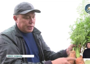 Жетісу облысында азық-түлік бағасын тұрақтандыру үшін 22 мың тоннадан аса ауылшаруашылық өнімдері сақталады