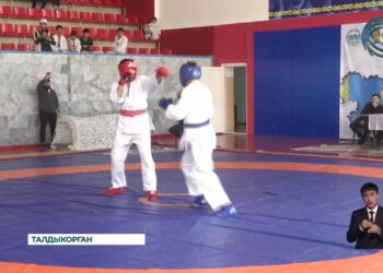 В Талдыкоргане стартовал чемпионат области Жетысу по универсальному единоборству