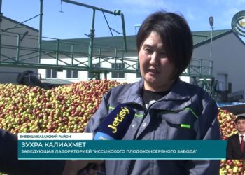 В этом году половина плодовых деревьев в области подверглась заморозкам